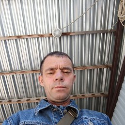  , 44, 