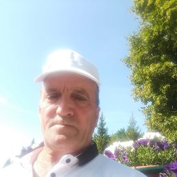 �����, ������, 54 ����