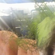 , 52 , -