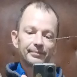 �������, ������, 41 ���