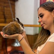 , 21 , 
