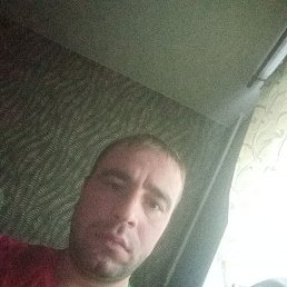 , 33, 