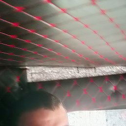 , 41, 