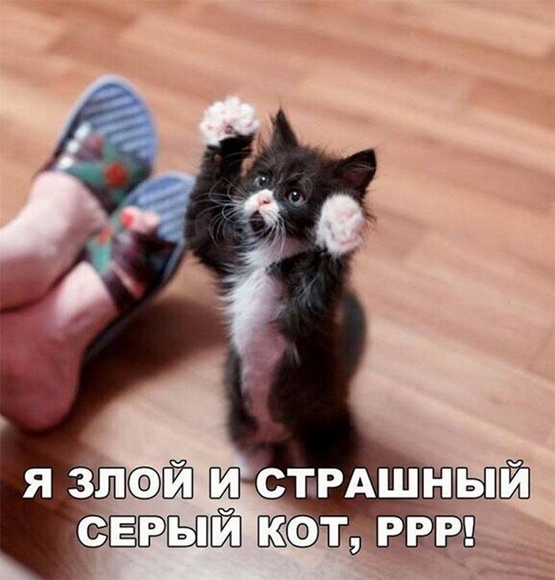 ? ,  ! - 29  2025  00:31