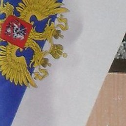 �������, ������, 62 ����