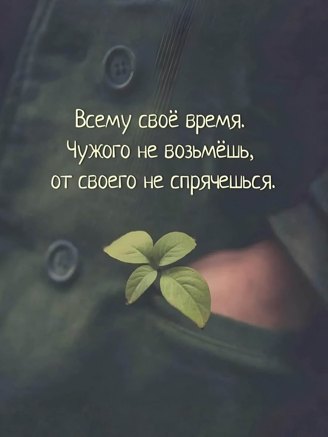  - 18  2025  18:51