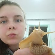 �����, 22 ����, ���������