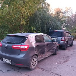 �������, ������, 37 ���