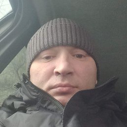 ����, ��������, 41 ���