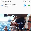 ���� ����,, ����, 50 ��� - ��������� 8 ������� 2024 � ������ ���� ����������