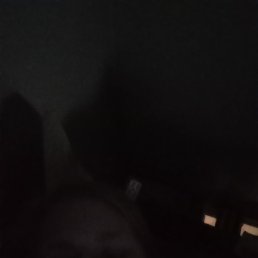 ��������, ������, 20 ���