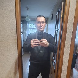 ����, �������, 41 ���