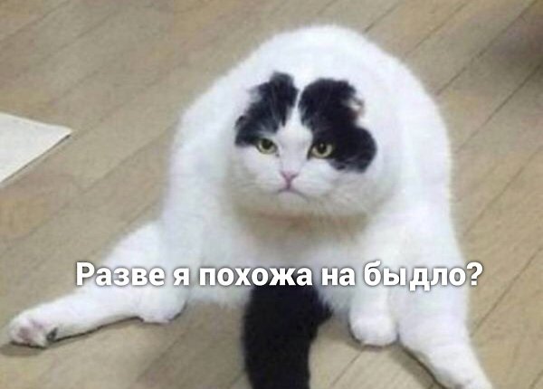  !