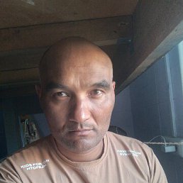 Qalandar, 45, 