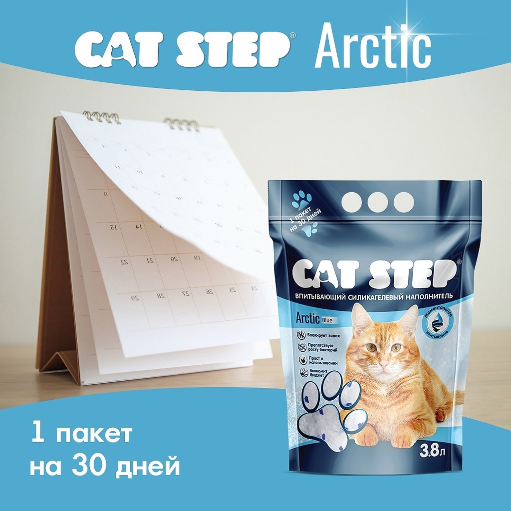     CAT STEP Arctic?   : https://fotostrana.ru/away?to=/sl/Zek - 5