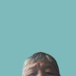 , 52, 