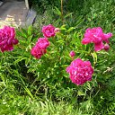 ���� �������, ����, 63 ���� - ��������� 5 ������ 2026 � ������ ���� ����������