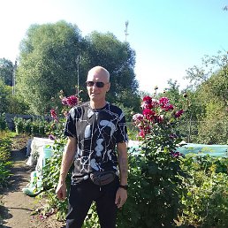 ������, ��������, 53 ����