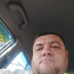 , 40, 