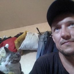 , 44, 
