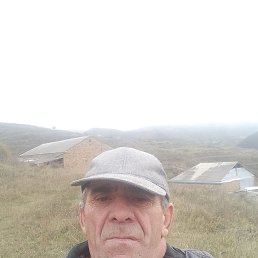 , 57, 