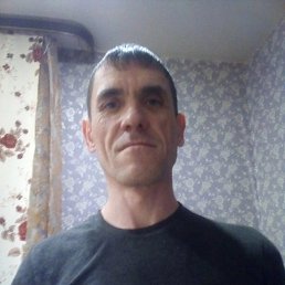 �����, 41 ���, ����