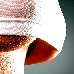 ����������, ������, 23 ����