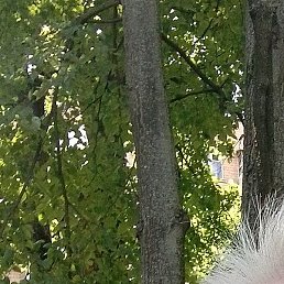 , , 55 