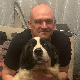 , 45,  