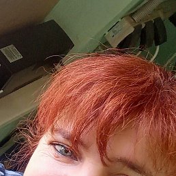 �����, ������, 51 ���