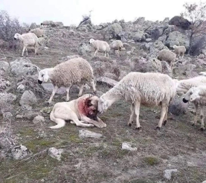       ,   ,    , ...