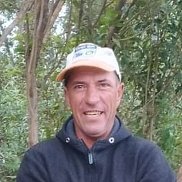 ������, 43 ����, ������