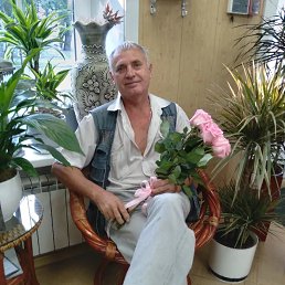 ������, 64 ����, �������