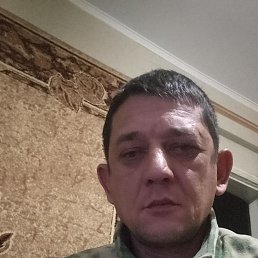 ���� ������, 42 ����, ���������