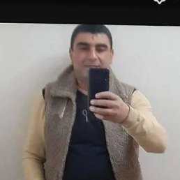 , 43, 