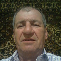 , 61, 
