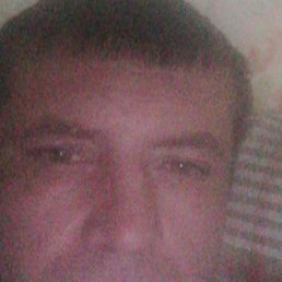 �����, �����������, 37 ���