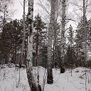 ���� ������, ������, 37 ��� - ��������� 24 ������ 2023