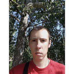 , 29, 