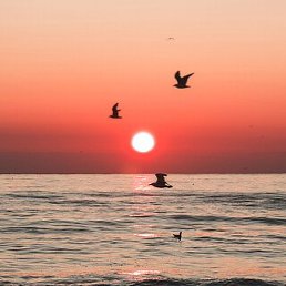 �����, ������, 47 ���