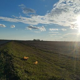 ��������, �����-���������, 19 ���