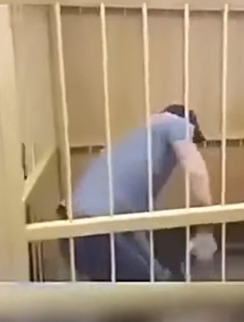 Кошмар в зале суда: Обвиняемый устроил погром после оглашения приговора! Судья была в ужасе – такого ...