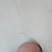 , 54 , 