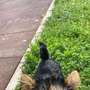 ���� �����, ����� - ��������� 9 ������� 2024 � ������ ���� ����������