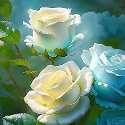 Shokir, �����-���������, 49 ���