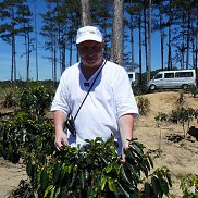 �������, 66 ���, ������