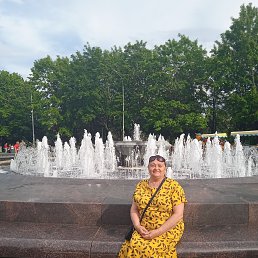 , 66, 