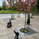  Miracle, - -  14  2025    