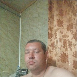 , 37, 