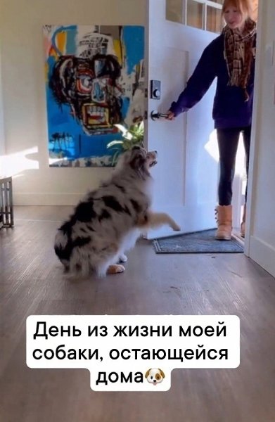 ��� ����� ����� ������, ������� ����� �������� ����?